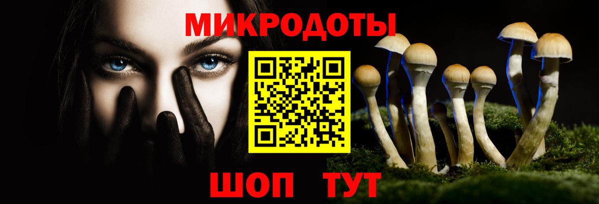 Псилоцибиновые грибы MAGIC MUSHROOMS Бутурлиновка